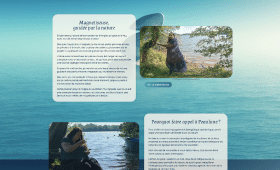 Photo de la page "Qui suis-je?" du site web de Peaulune, magnétiseuse à redon.