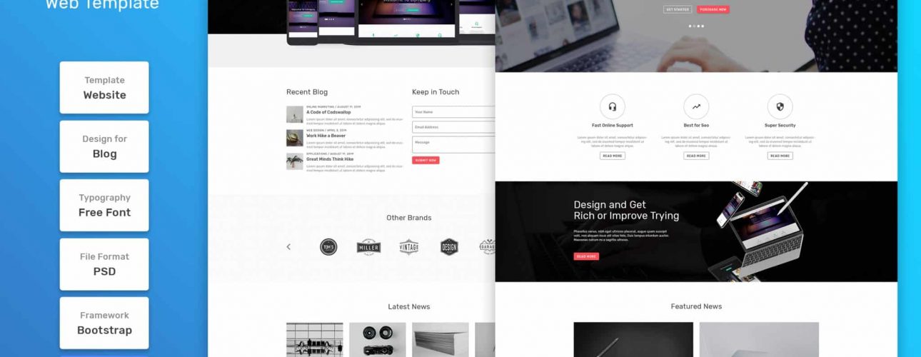Aperçu de plusieurs modèles de pages web affichés côte à côte, illustrant l’apparence et la mise en page d’un thème de site.